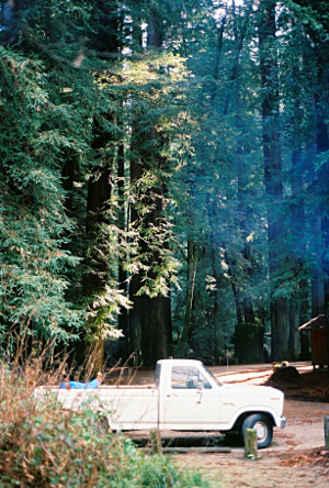 [A white pickup truck sits by the wood posts parking the campsite. The redwoods behind the vehicle dwarf it and they aren't even completely in this vertical image because of their height.]